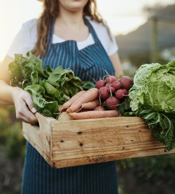 Woman holding a basket of freshly-picked assorted vegetables