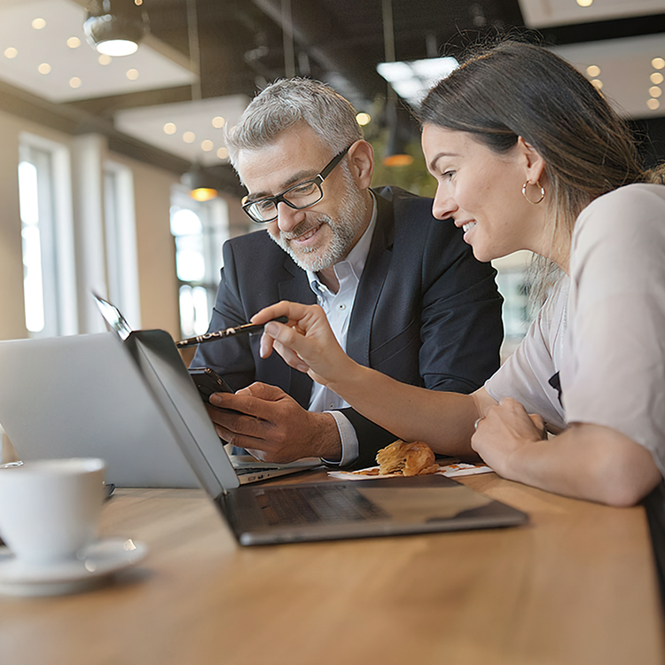 business parteners looking at a computer