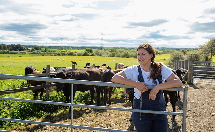 A person wearing a white t-shirt and blue overalls leans on a metal gate, with a herd of cows grazing in a lush green pasture under a partly cloudy sky.