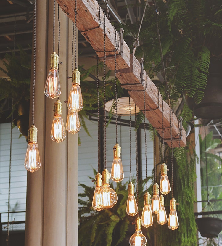 A rustic lighting setup featuring hanging bulbs glowing warmly, suspended from a wooden beam supported by metal brackets and ropes, with green ferns adding a cozy touch in the background.