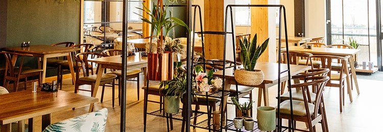 Boho restaurant with wooden tables and plants hanging from the ceiling