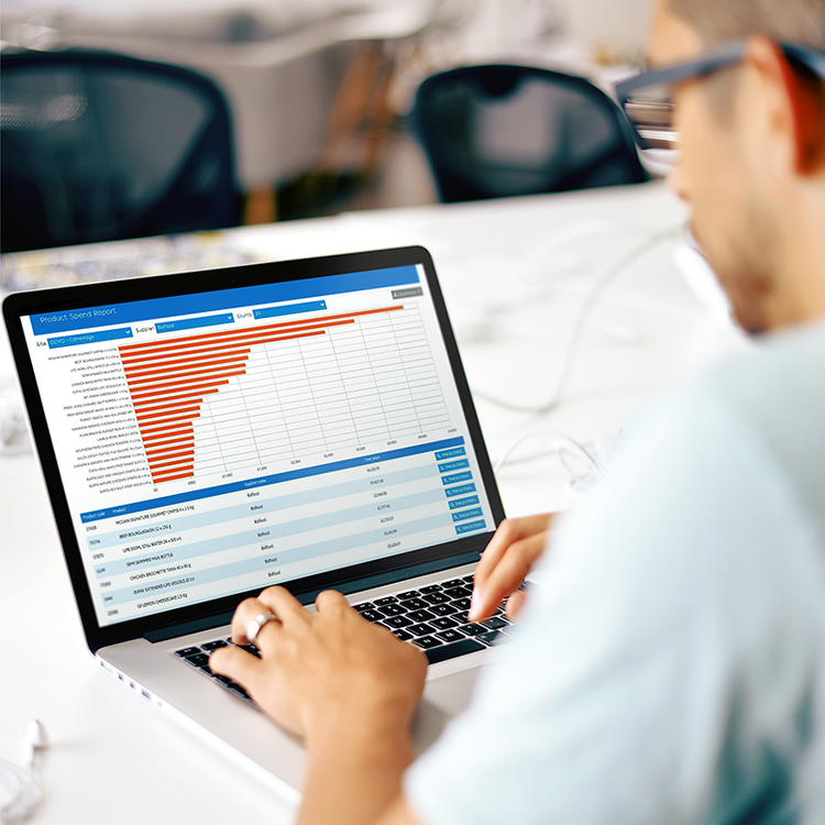 A person using a PI report procurement system