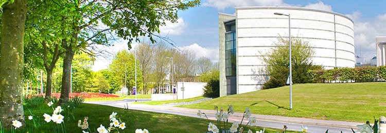Flowers and green grass at Lancaster University