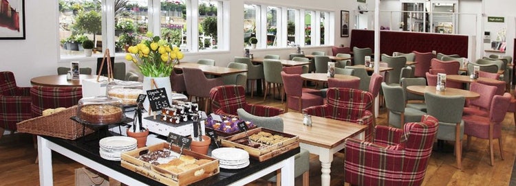 interior of a restaurant