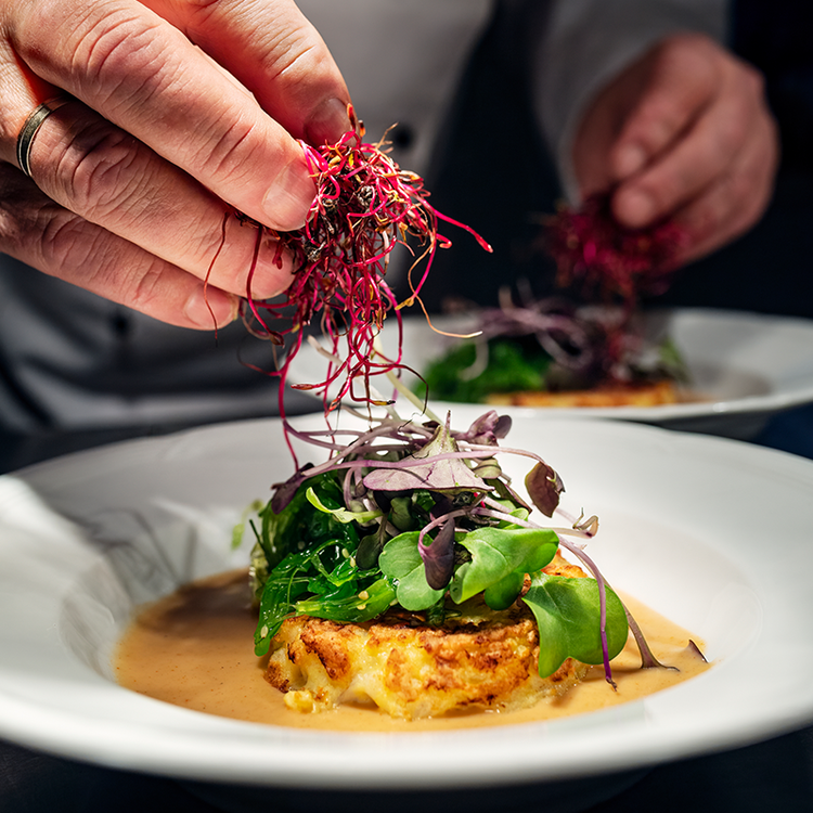 Chef garnishing a plated dish with fresh microgreens and colorful edible sprouts.