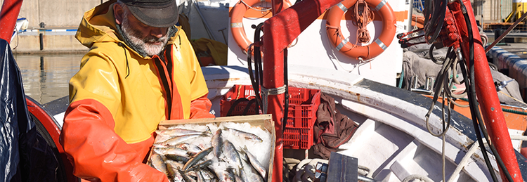 Avendra International Europe Market Report Q4 2025