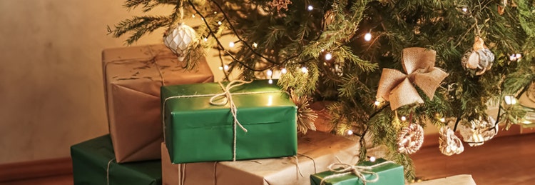 Green and brown gift boxes under a Christmas tree