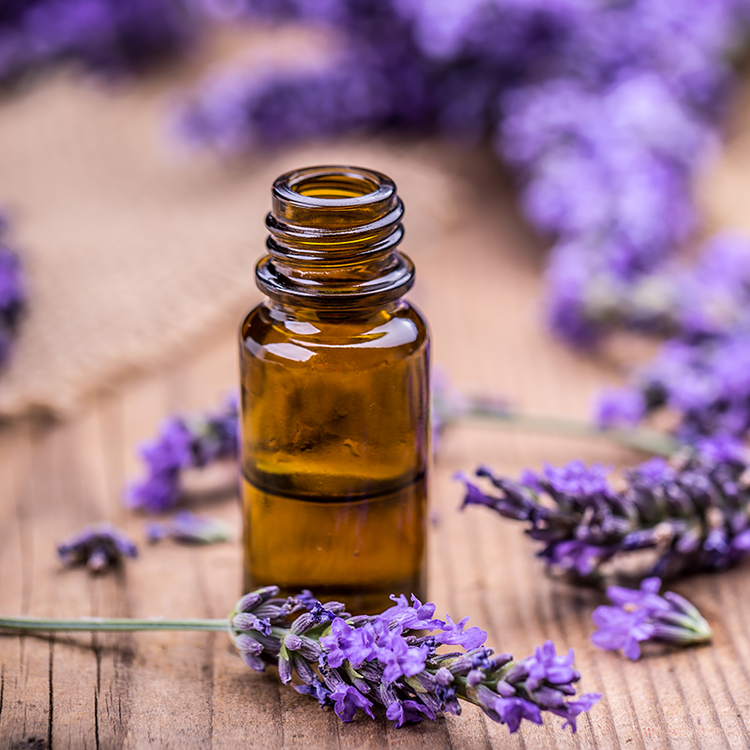 A bottle of essential oil next to lavander flowers