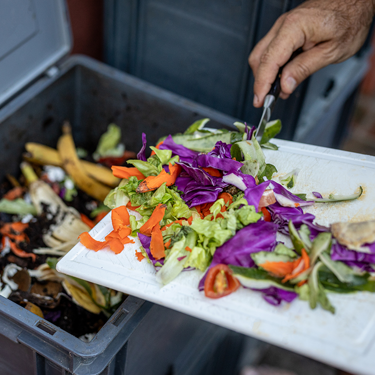 food waste