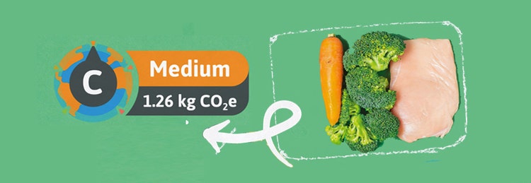 Chicken breast, broccoli, and carrots displayed on a bright green background, highlighting a healthy meal.