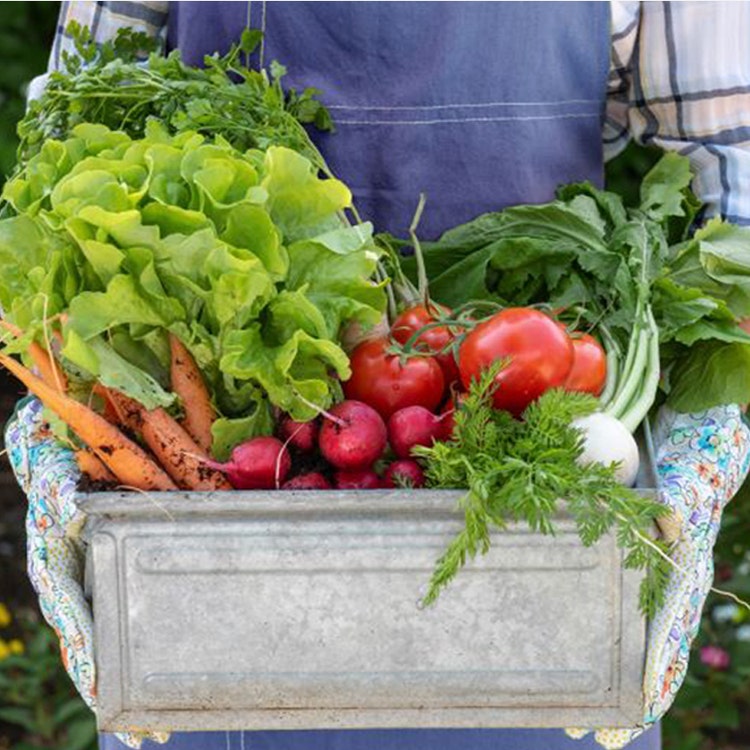 A person holding a container with vegetables