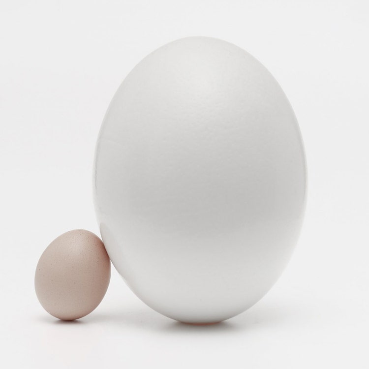 Two eggs, one brown and one white