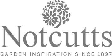 notcutts logo