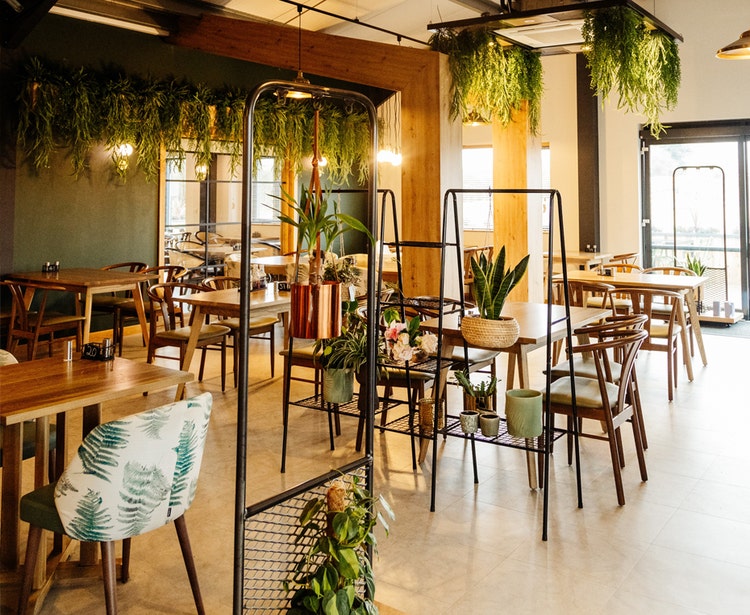 Modern indoor dining area with warm lighting and plant decor