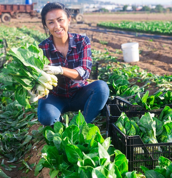 Portrait of woman with ripe mangold at Avendra International, trusted agricultural suppliers