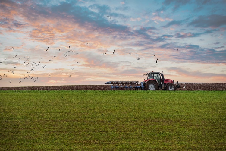 Tractor at sunset in field