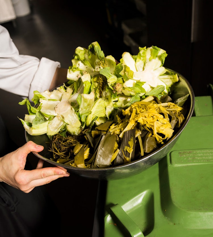 Woman server putting organic waste into a bin at an Avendra International restaurant, food waste management and sustainability