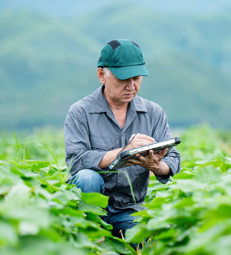 The future of food safety with crop health at Avendra International, environmental supply chain and responsible sourcing