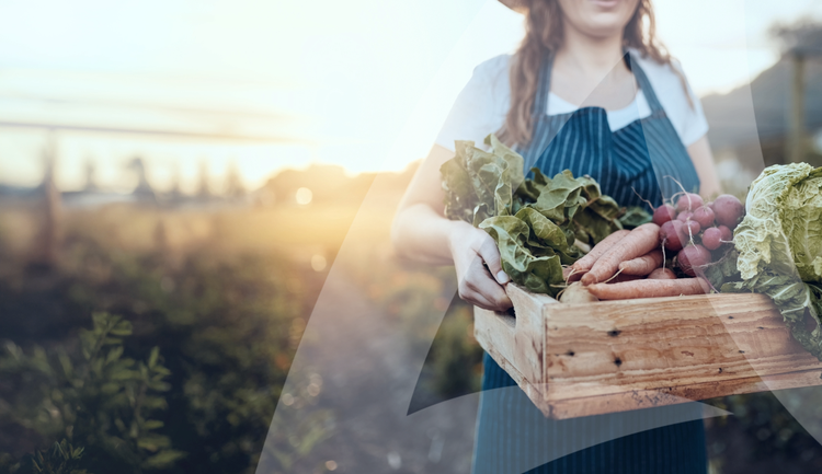 Avendra International representative holding a wooden crate filled with fresh vegetables in a sunlit outdoor farm setting.