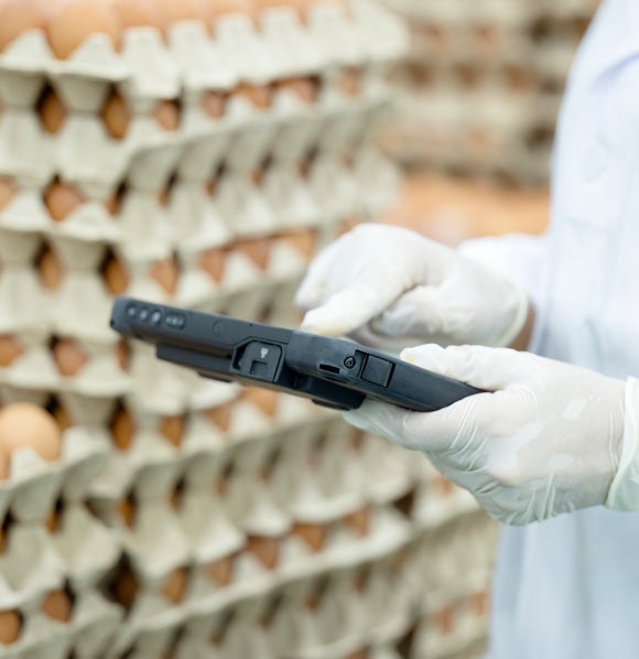 Enhancing agricultural productivity and resilience at Avendra International, sustainable supply chain and responsible sourcing