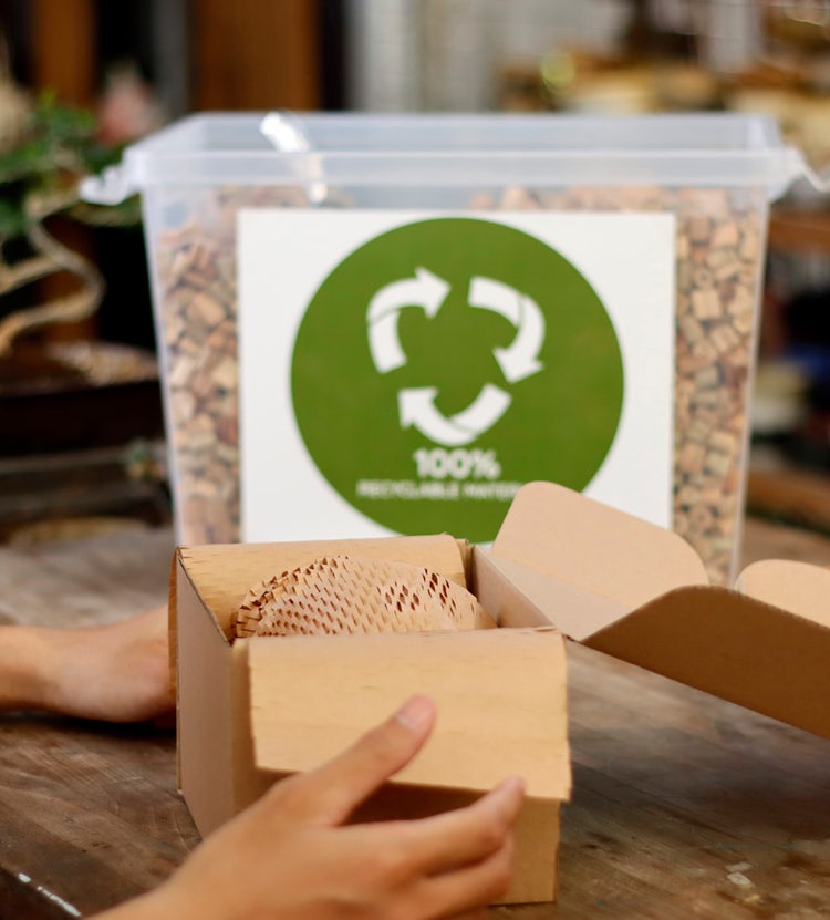 Net zero waste go green SME using eco-friendly care at Avendra International, sustainable supply chain and responsible sourcing
