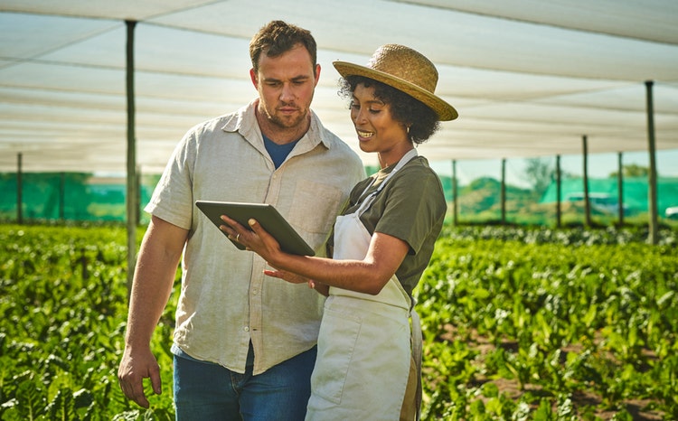 Young man and woman using a digital tablet at a sustainable farm partnered with Avendra International, responsible sourcing