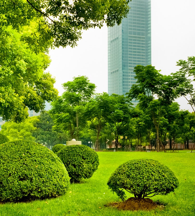 Beautiful city garden showcasing corporate landscaping by Avendra International, supply chain solutions