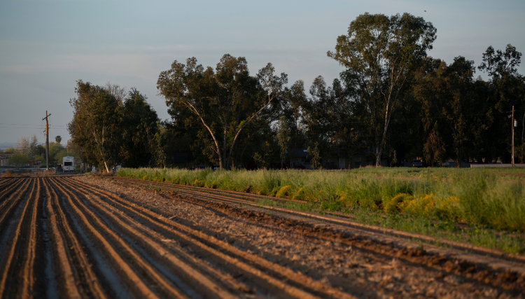 A plowed field with furrows, green vegetation, and trees in the background, with a vehicle partially visible.