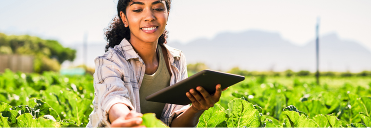 Woman holding a tablet examines crops in field