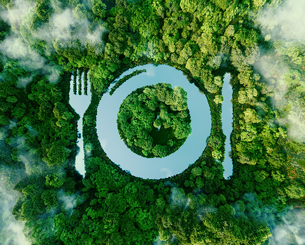 Une assiette avec une fourchette et un couteau est posée sur le sol, entourée d'une végétation luxuriante dans un cadre forestier serein.