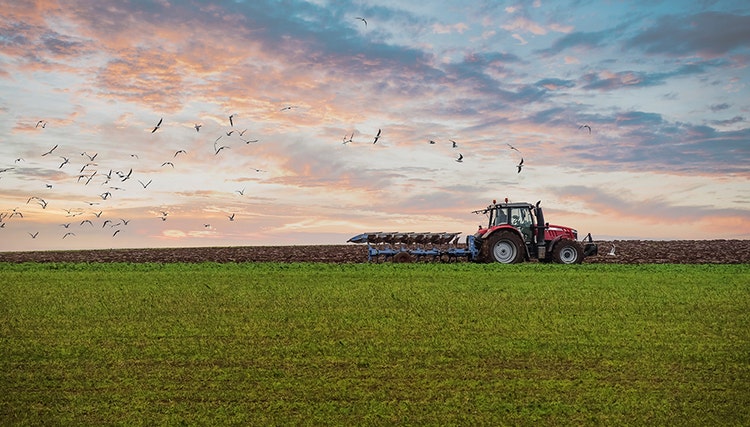 Un tracteur rouge labourant un grand champ au coucher du soleil, avec des nuages colorés dans le ciel et des oiseaux volant au-dessus.