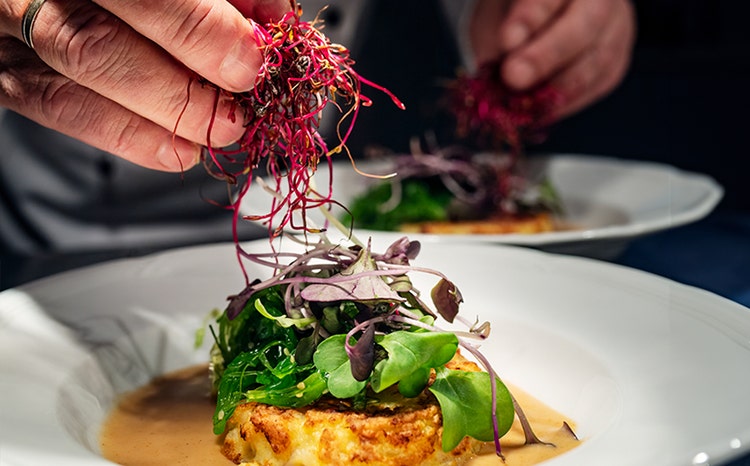 Chef garnishing a dish
